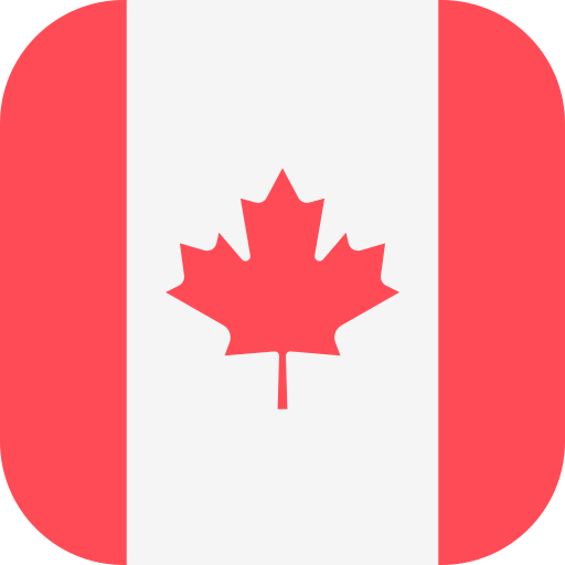 Flag icnon