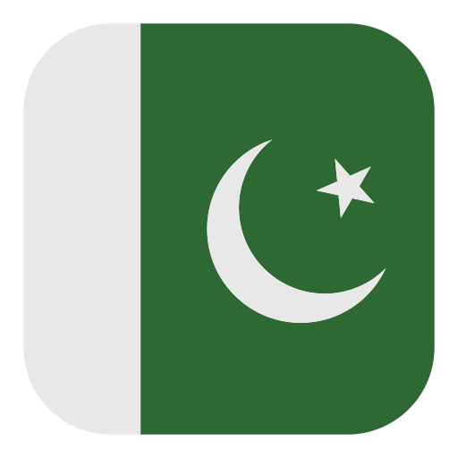Flag icnon